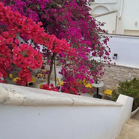 Bed & Breakfast Manzoni Neviano